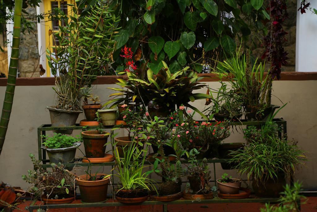 Pavithram Homestay Munnar Exterior foto